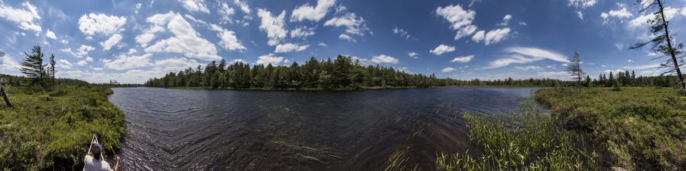 bog-river-n-44-117-w-74-647-adirondacks-usa