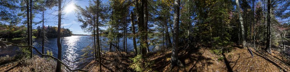 Cathedral Pines Seventh Lake | Adirondacks, USA